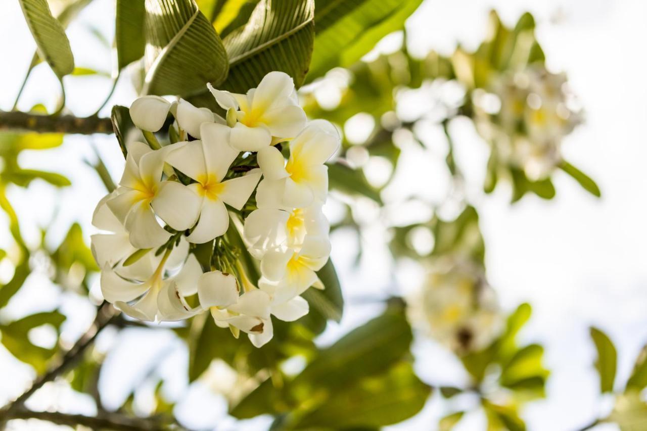 Kanuhura Maldives Kuredu Kültér fotó